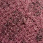 3M Scotch-Brite Maroon Disc 100mm x16mm 10pk Medium Conditioning